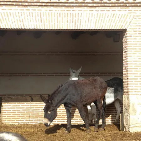 Complejo Rural Puente Sonseca